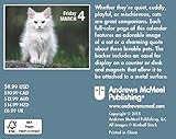 Image de Cats 2016 Mini Day-to-Day Calendar