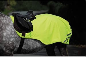 Shires Equi-Flector Mesh Exercise Sheet - Yellow