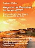 Wege aus der Depression ins Leben: JETZT !: Erfahrungsberichte über 25 Jahre Energie-Arbeit für die Seele by Andreas Wildner