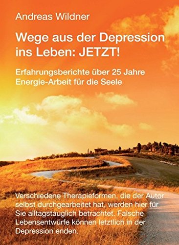 Wege aus der Depression ins Leben: JETZT !: Erfahrungsberichte über 25 Jahre Energie-Arbeit für die Seele