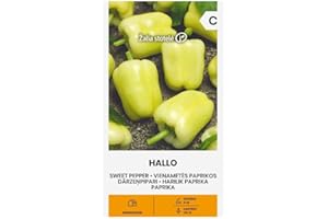 ŽALIA STOTELĖ Zalia stotele | HALLO CON PIMIENTO DULCE de Seeds | Semillas de hortalizas | Semillas pimiento | Semillas de plantas | Semillas de jardín | 1 paquete