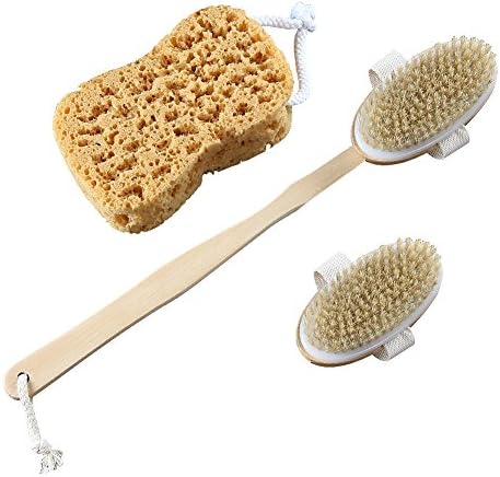New Power Body Brushes Back Scrubbers With Long Bamboo Handle Set (An Other Head And A Large Bath Sponge),Natural Boar Bristles Remove Dead Skin And Exfoliating-1P + 1 Head + 1 Sponge.