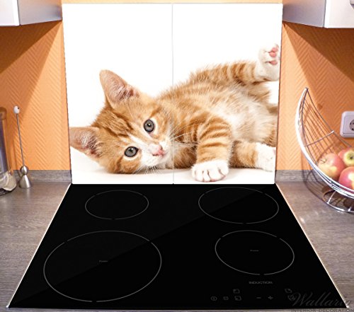 Wallario Herdabdeckplatte / Spritzschutz aus Glas, 2-teilig, 60x52cm, für Ceran- und Induktionsherde, Süße Katze mit großen Augen – rot weiß getigert - 3