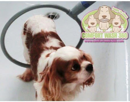 Comfortwash 360