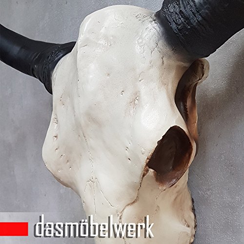 dasmöbelwerk XXL Deko Schädel 65 cm Natur Stierkopf Skulptur Stier Bullenschädel Wandskulptur Hörner Bulle Stierschädel - 3
