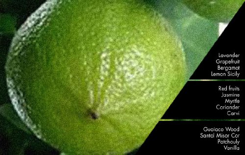 Millefiori Milano Nachfüllflasche Raumduft Natural Fragrance Sandalo Bergamotto (0,5l) - 3