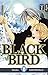 Black Bird 18 by 