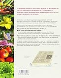 Image de Le guide pratique du potager en carrés : Tout pour planifier et cultiver