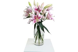 FLORES SOLIDARIAS TRABAJO & VIVIENDA FLORES SOLIDARIAS - Ramos de Flores Naturales Lilium Rosa - Ramo Fresco de Calidad para Regalo, San Valentín, Día de la Madre, Bodas, Aniversarios, Cumpleaños y Decoración del Hogar