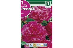 ROCALBA Bulbo de peonia (bolsa litografiada) (Rosa)