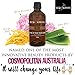Fake Tan - Eco by Sonya Face Tan Water - Builds to a Honey Complexion. Suitable for Light to Medium Skin Tones. Australia Certified Organic 100% Vegan Natural Colour Chemical-free