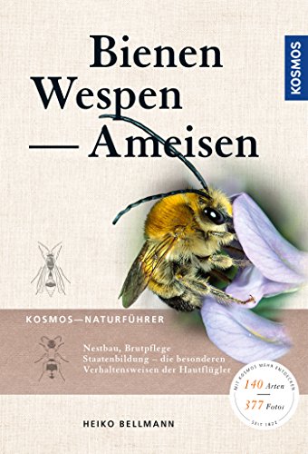 Download Bienen, Wespen, Ameisen Download Bienen, Wespen, Ameisen
