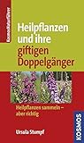 Image de Heilpflanzen und ihre giftigen Doppelgänger: Heilpflanzen sammeln - aber richtig