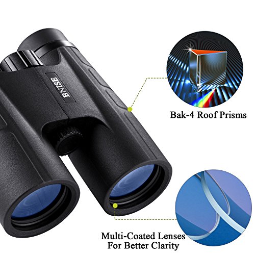 BNISE Binocolo Professionale, Compatto 10x42 HD, Prisma BaK4 FMC con Lenti Completamente Multistrato, Adatto Viaggi All'aperto, Bird Watching, Da Teatro, Caccia e Concerti, Adattatore per Smartphone