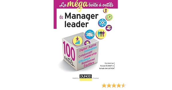 Amazonfr La Mega Boîte à Outils Du Manager Leader 100 - 