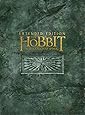 The Hobbit: The Desolation Of Smaug - Extended Edition [DVD] [2014]