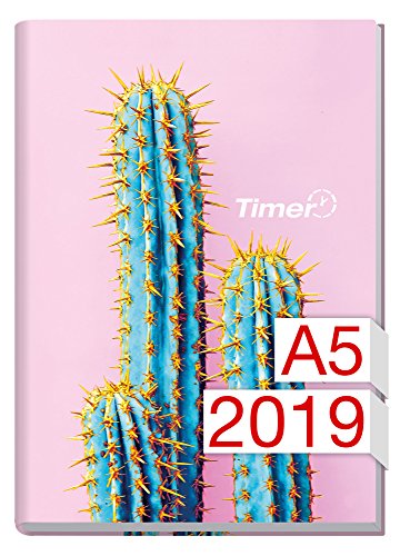 Chäff-Timer Classic A5 Kalender 2019 [Kaktus] 12 Monate Jan-Dez 2019 - Terminkalender mit Wochenpla