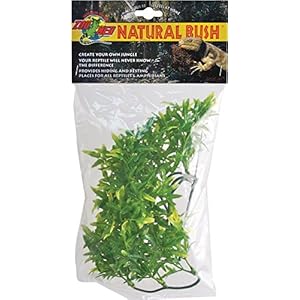 Zoo Med Laboratories szmbu15natur buschig Bolivien Croton, klein