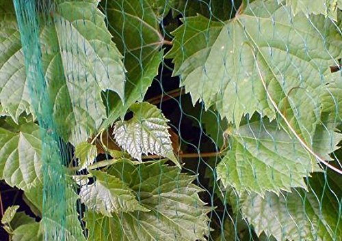 Vogelschutznetz Laubnetz Gartennetz Teichnetz Pflanzenschutznetz 14 Größen (8×14 m) - 2