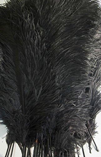 LanShi Natural 12-14inch(30-35cm) Ostrich Feathers Plume for Wedding Centerpieces Home Decoration Black 10Pcs by LanShi