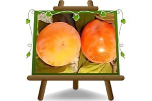 EURO PLANTS VIVAI Kaki Tipo plante fruitière ancienne en pot 26 cm hauteur maximale 180 cm - Âge 4 ans