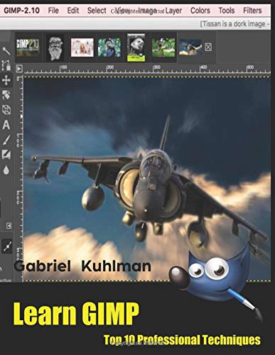 Preisvergleich Produktbild Learn GIMP: Top 10 Professional Techniques