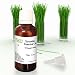 Allin Exporters Citronella Essential Oil - Enjoy the Innumerable Benefits of Therapeutic Grade Citronella Oil - 30 ML RS.220.00
