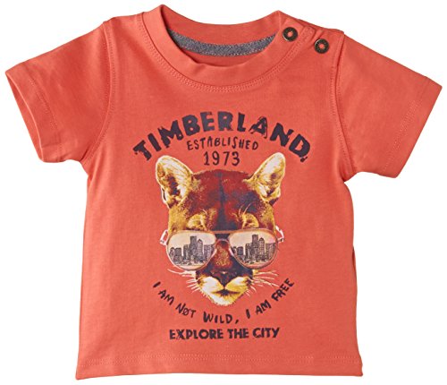 Timberland Baby-Boys T05E84/98512M Short Sleeves T-Shirt, Red (Poppy), 9-12 Months (Manufacturer Size:12 Months)