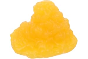 PLAFOPE 1Pc Authentic Human Model for School Students Realistic Tpe Replica for Educational Demonstration and Visual Teaching Tool for and Classroom Instruction