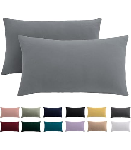 Soifox Beddengoed 200 x 200 cm, lichtblauw, van microvezel, strijkvrij en kreukvrij, dekbedovertrek 200 x 200 cm, met kussensloop van 80 x 80 cm, set van 2, met ritssluiting