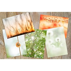 5er Set Postkarten Fotografien 