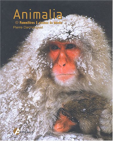 couverture de : Animalia