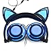 Produktbild USB Ladegerät faltbar Katze Ohr Draht verstellbar hearsets Kopfhörer Flash Blau Licht für iPhone 7//6S/iPad, Android Handy, MacBook Frabe:-blau/schwarz