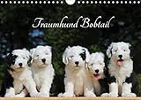Traumhund Bobtail (Wandkalender 2018 DIN A4 quer): Der Bobtail, der Old English Sheepdog, auf 13 bezaubernden Bildern (Monatskalender, 14 Seiten ) ... [Kalender] [Apr 27, 2017] Starick, Sigrid by 
