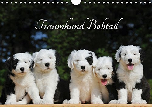 Traumhund Bobtail (Wandkalender 2018 DIN A4 quer): Der Bobtail, der Old English Sheepdog, auf 13 bezaubernden Bildern (Monatskalender, 14 Seiten ) ... [Kalender] [Apr 27, 2017] Starick, Sigrid