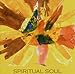 Produktbild Spiritual Soul