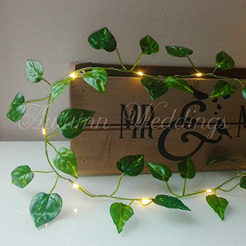 Ivy Fairy Lights / String Lights - 2m 20 LED - Wedding Decorations - AA Battery Powered - Warm White - Indoor Leaves - Leaf Garland with Lights - Fairy Lights Bedroom - Leaf Fairy Lights - Fairy Lights Leaf - Prime Delivery