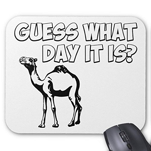 Preisvergleich Produktbild Guess What Day It is Hump Day Camel Mouse Pad