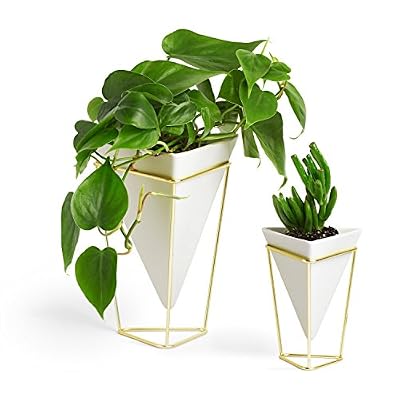 Umbra 1004372-524 Trigg Set Vide Poche Métal Blanc/Laiton 26,03 x 20,32 x 13,653 cm