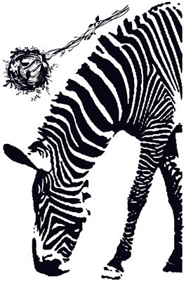 FiveSeasonStuff ® Wandaufkleber / Wandbilder Aufkleber Zebra-und Vogelnest Edition für Home Decor / Raumdekoration / Wandtattoo / Wanddekoration / Wall Art Stickers / Wall Decals / Wall Decoration Zebra Edition WS1 - 7