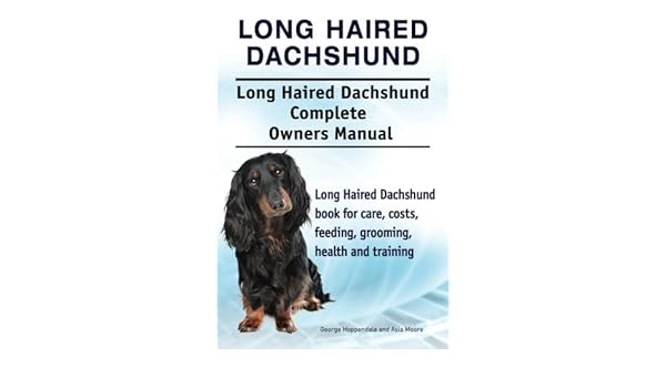 Buy Long Haired Dachshund Long Haired Dachshund Complete Owners