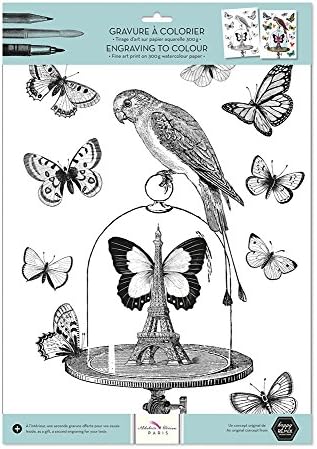 Alibabette Editions Engravings to Colour Les Papillons 15.75 by 11.8" 300g Watercolor Paper + 100g Drawing Paper (COL4005)