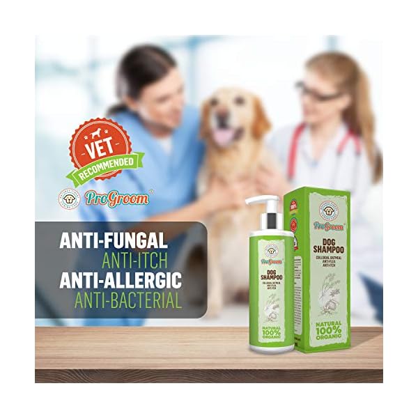 ProGroom Oatmeal Dog Shampoo Vegan, Organic, Natural Puppy Shampoo