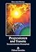 Progressionen und Transite: Ein praxisorientiertes Deutungsbuch (Edition Astrodata) by
