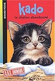Kado, le chaton abandonné