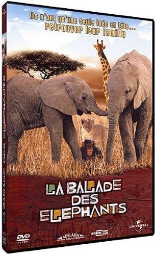 La balade des éléphants