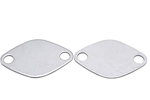 SHLPDFM 2 Stück AGR-Ventildichtung Ventil-Blindblock Verschlussplatte Ventil Blindplatte für Espace Laguna Master Trafic Movano 2.2 2.5 DCI