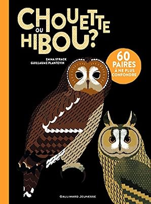 chouette ou hibou: quelle différence ?