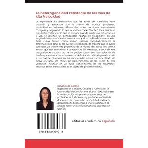 La heterogeneidad resistente de las vías de Alta Velocidad: Las transiciones terraplén-estructura