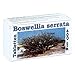 Produktbild Boswellia serrata 400 mg Tabletten 100 stk